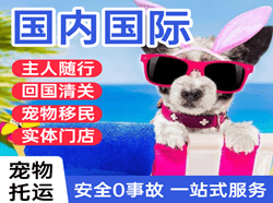 东郊机场快递国际宠物托运 【国